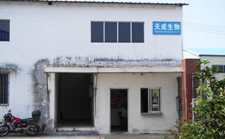 廠(chǎng)區(qū)一角